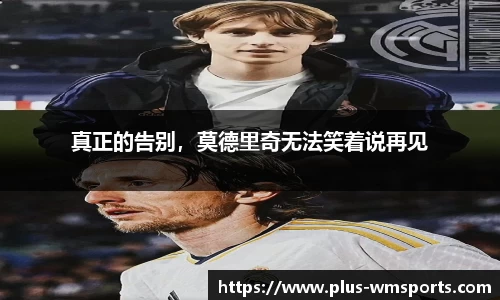  完美体育官网